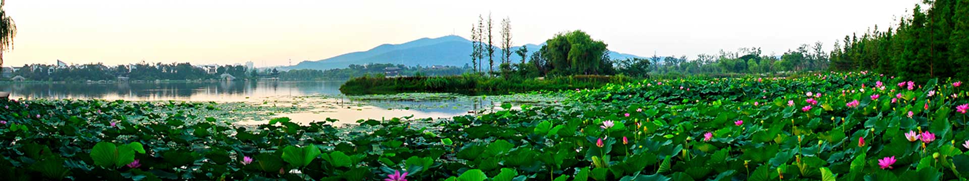 潘安湖风景区