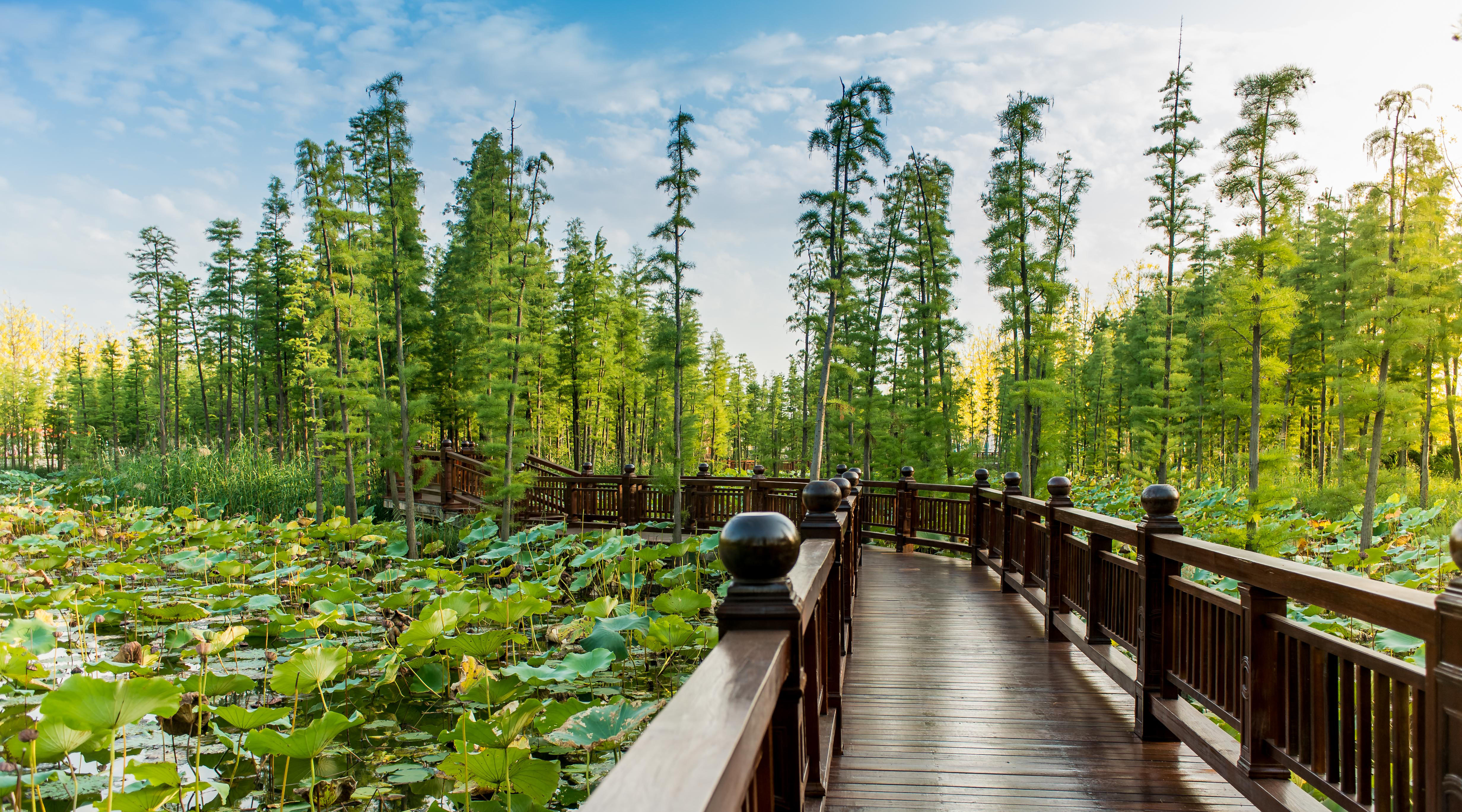 潘安湖景区